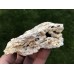 Chalcedon